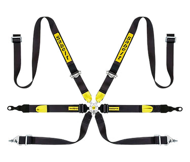 Sabelt Enduro Silver Series Porsche GT2/GT3/GT4 6 Point Racing Harness
